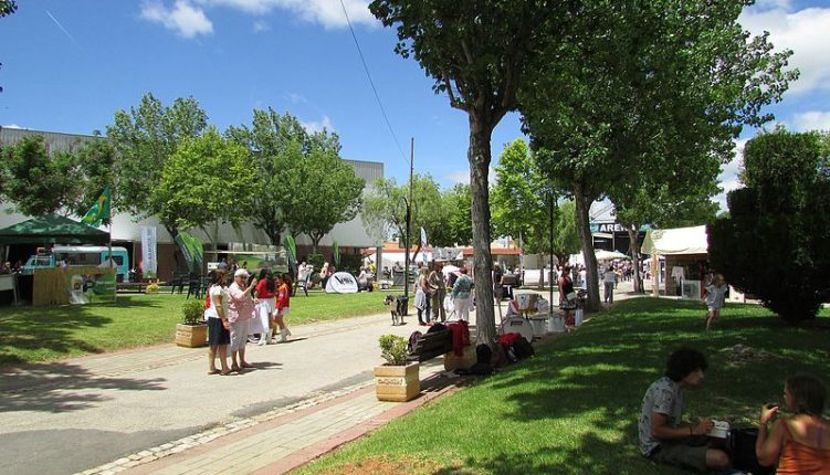 international algarve fair