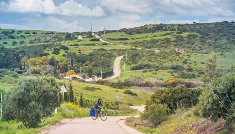 Cyclist on winding road in Algarve hinterland