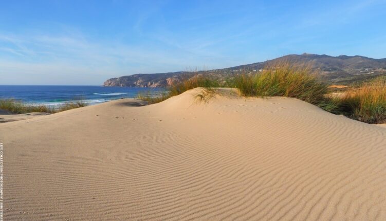 Dunes to sandy beach on west coast of Algarve