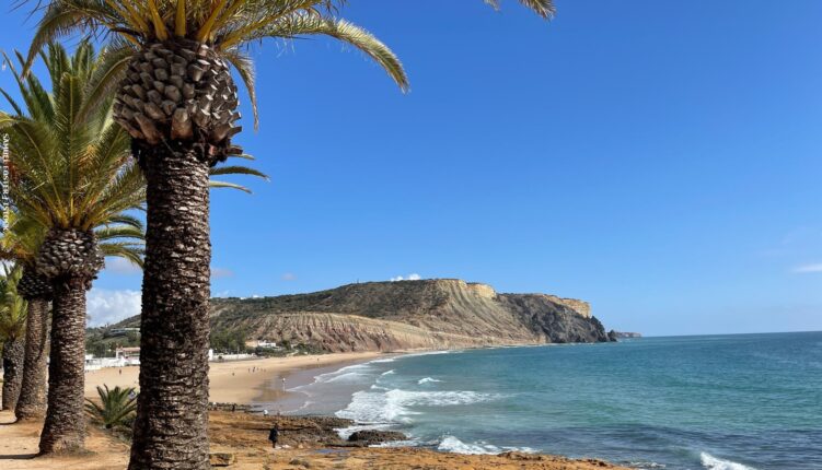 Praia da Luz beach with palm-fringed promenade