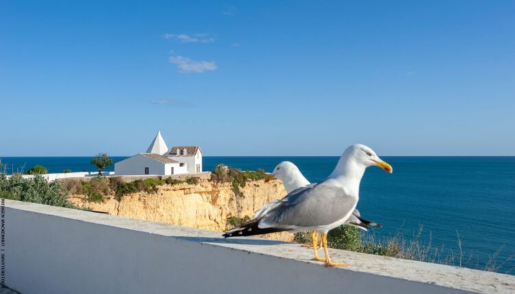 Senhora da Rocha with seagulls