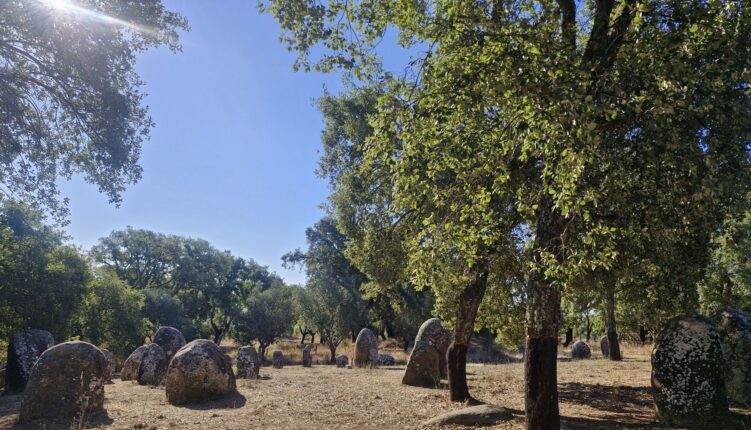 Cromlech amongst trees with blue sky